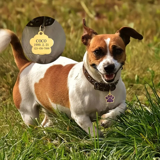 Custom Engraved Pet ID Tag – Durable Dog & Cat Name Tags