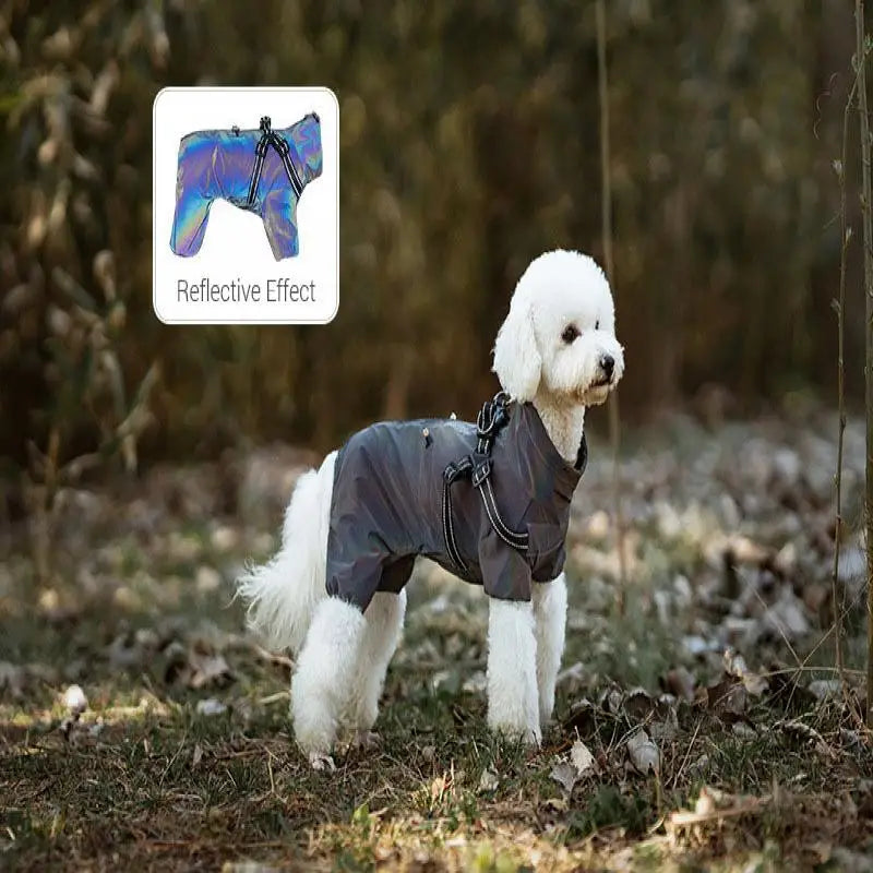 Waterproof Dog Raincoat with Harness NZ | Reflective Adjustable Jumpsuit for Small & Medium Dogs – PawNest