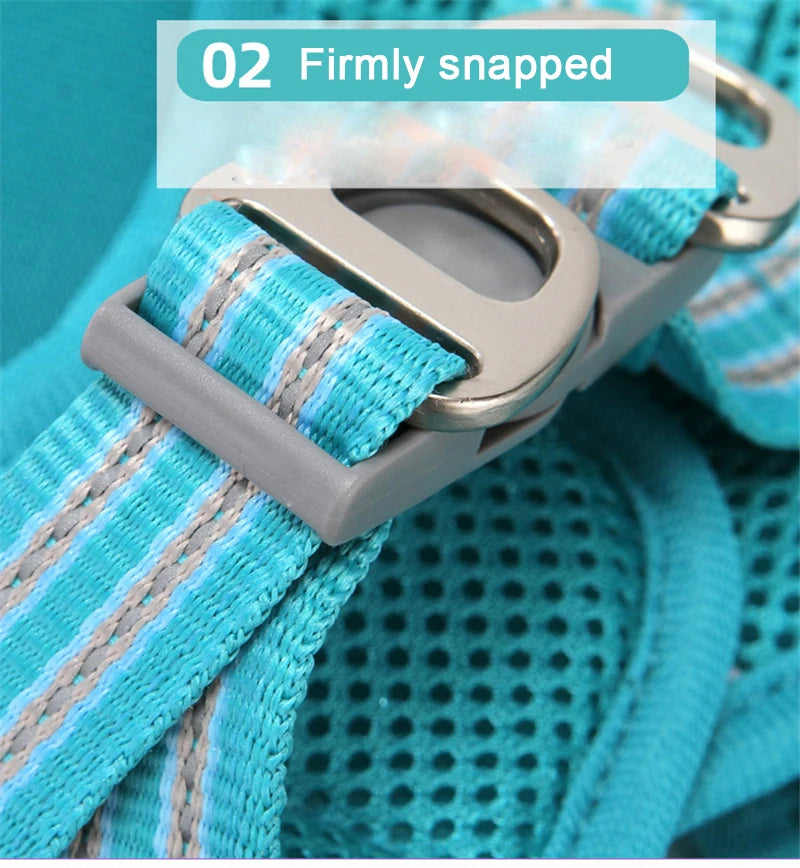 Adjustable Dog Harness Vest & Walking Leash NZ | Medium Dogs & Cats – PawNest