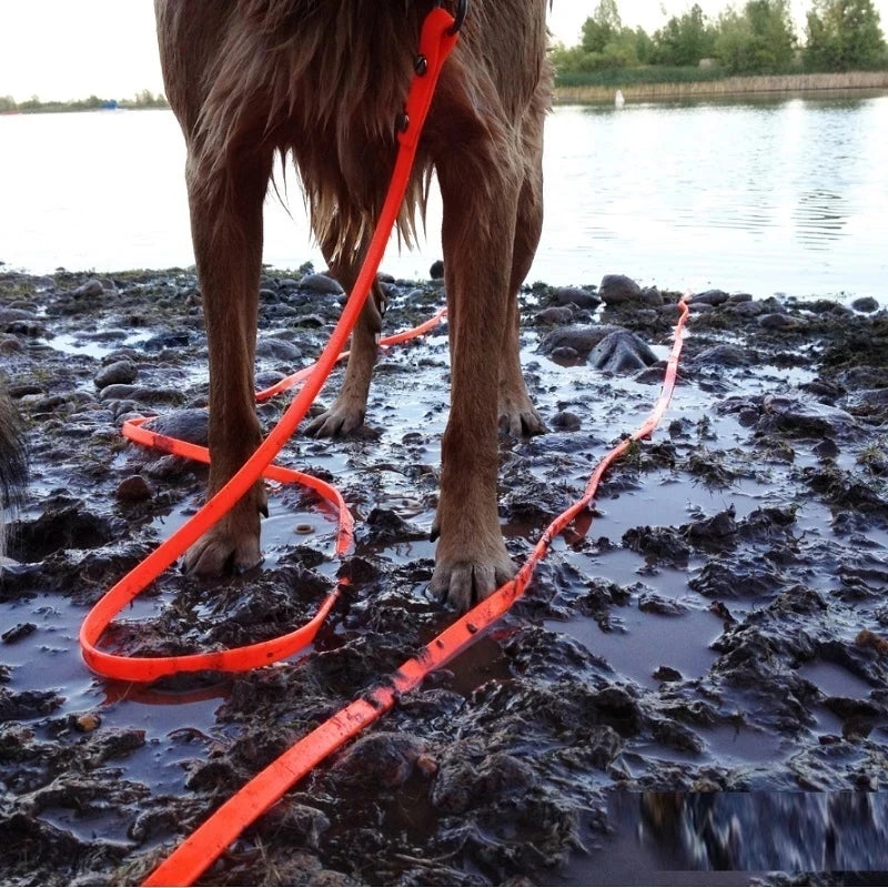 Waterproof Long Dog Leash – PVC Training Lead for Small to Large Dogs | 3m, 5m, 10m, 15m | Easy-Clean Outdoor Walking Rope