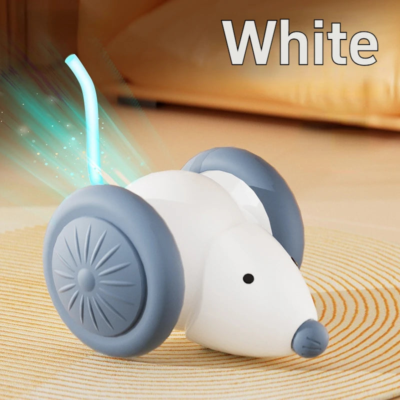 Interactive Cat Toy NZ | Electric Mouse Teaser with Obstacle Avoidance – PawNest