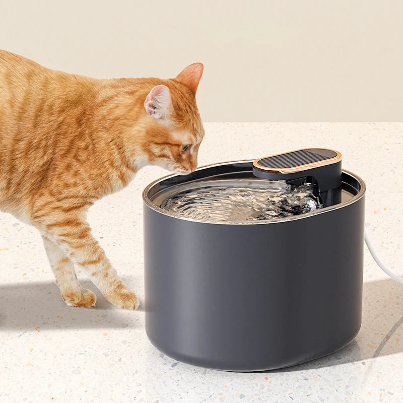 3L Automatic Pet Drinking Fountain NZ | USB Electric Mute Water Feeder for Cats & Dogs – PawNest
