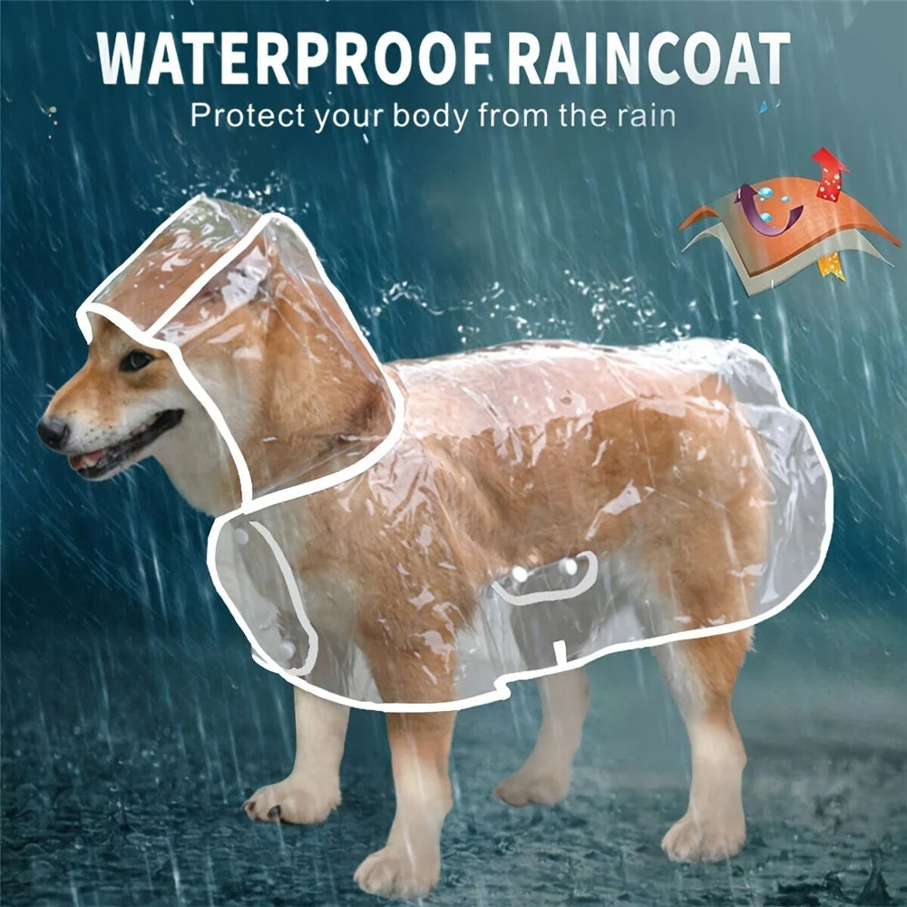 Clear PVC Dog Raincoat NZ | Waterproof Poncho with Snap Closure for Medium Breeds – PawNest