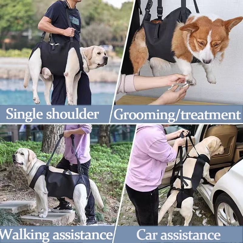 Full Body Dog Harness Traction Belt NZ | Adjustable Shoulder Strap for Medium & Large Dogs with Hind Leg Support – PawNest