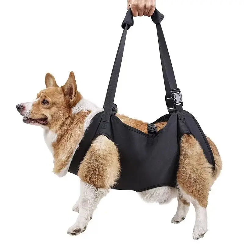Full Body Dog Harness Traction Belt NZ | Adjustable Shoulder Strap for Medium & Large Dogs with Hind Leg Support – PawNest