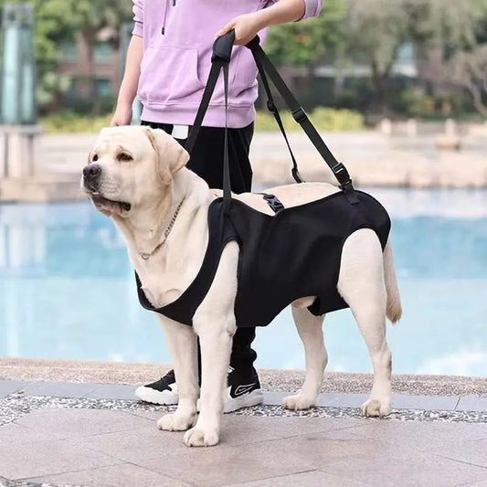 Full Body Dog Harness Traction Belt NZ | Adjustable Shoulder Strap for Medium & Large Dogs with Hind Leg Support – PawNest
