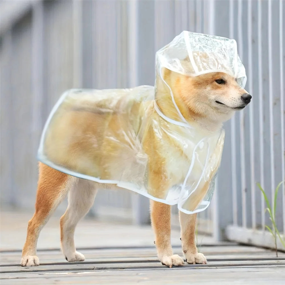 Clear PVC Dog Raincoat NZ | Waterproof Poncho with Snap Closure for Medium Breeds – PawNest