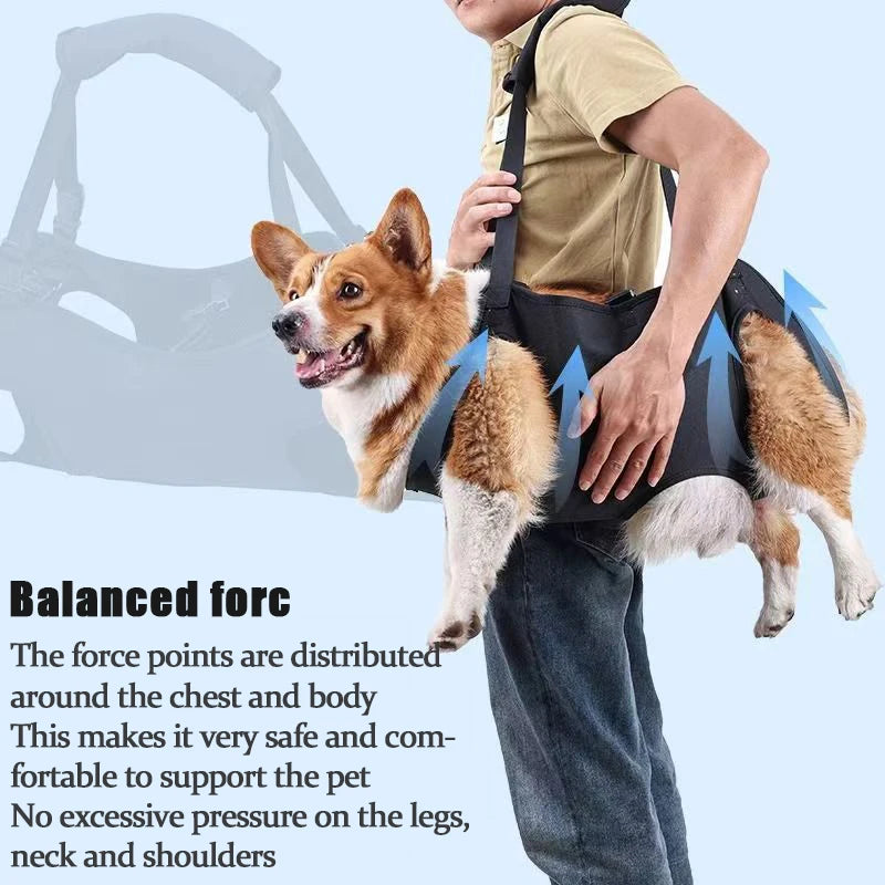 Full Body Dog Harness Traction Belt NZ | Adjustable Shoulder Strap for Medium & Large Dogs with Hind Leg Support – PawNest