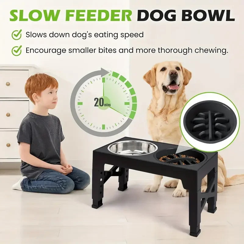 Elevated Dog Bowls NZ | Adjustable Stainless Steel Slow Feeder with Non-Slip Base for Small to Large Dogs – PawNest