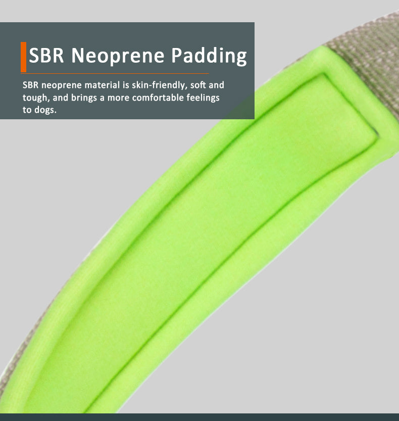 Truelove Nylon Reflective Dog Harness TLH6571 NZ | Durable SBR Buckle & Leash Compatible – PawNest