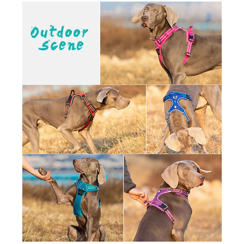 Truelove No-Pull Dog Harness NZ | Front Nylon Adjustable Safety Vest for Small & Large Dogs – PawNest