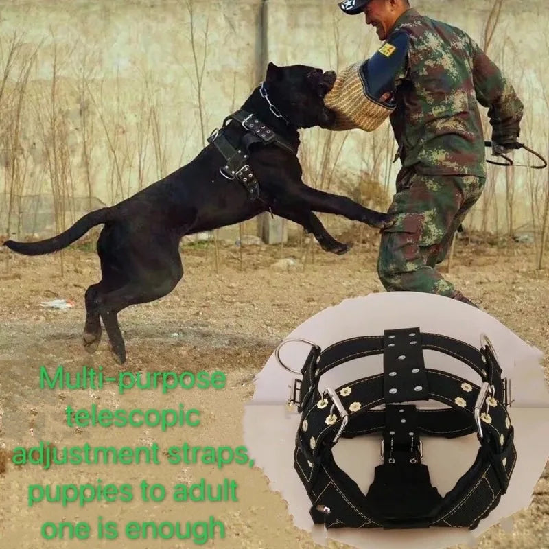 Large Dog Harness NZ | Durable Pit Bull Harness & Leash Set – Wholesale Pet Accessories – PawNest
