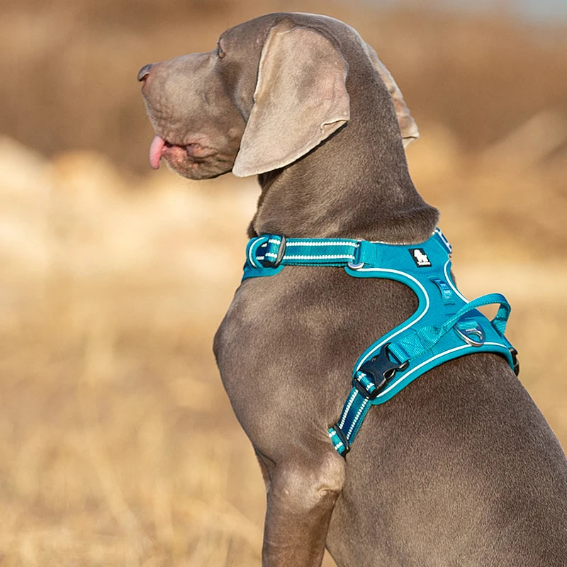 Truelove No-Pull Dog Harness NZ | Front Nylon Adjustable Safety Vest for Small & Large Dogs – PawNest