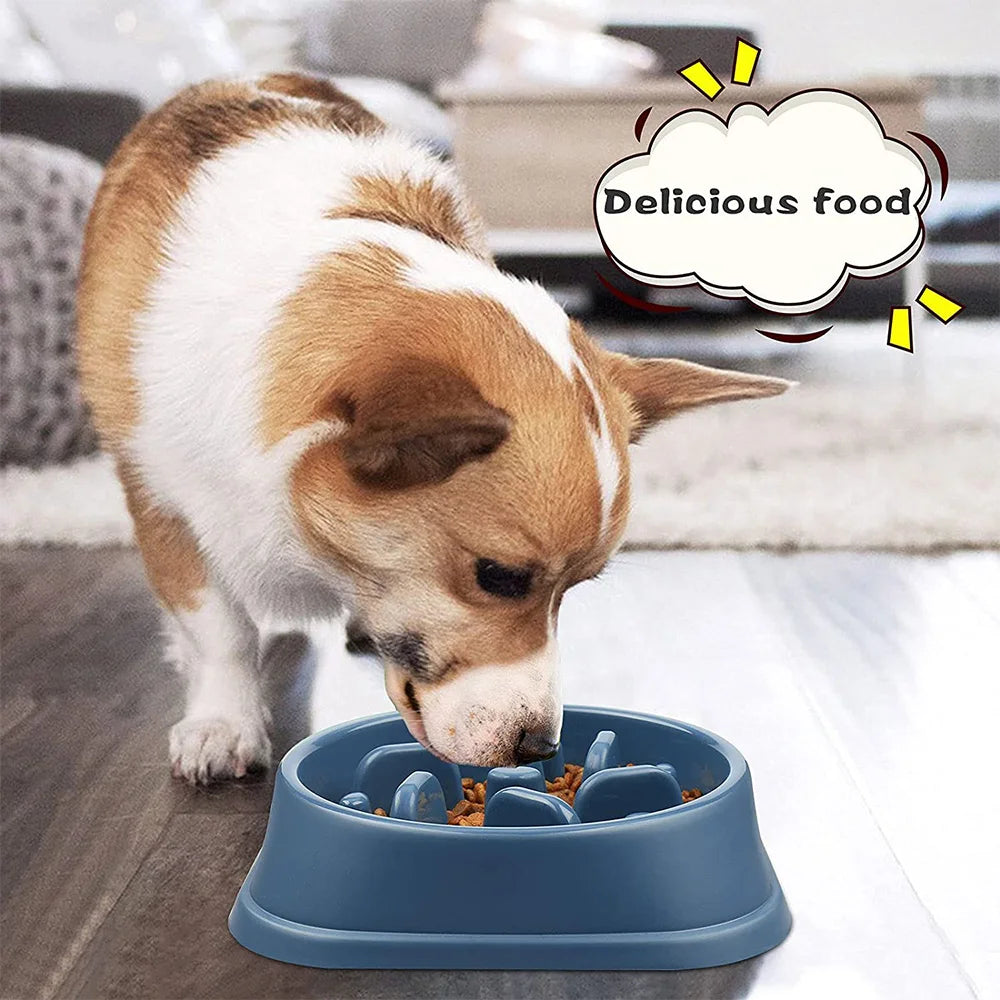 Non-Slip Slow Feeder Dog Bowl NZ | Puzzle Anti-Gulping Food Dish for Medium Dogs – PawNestedium Small Dogs Puppy