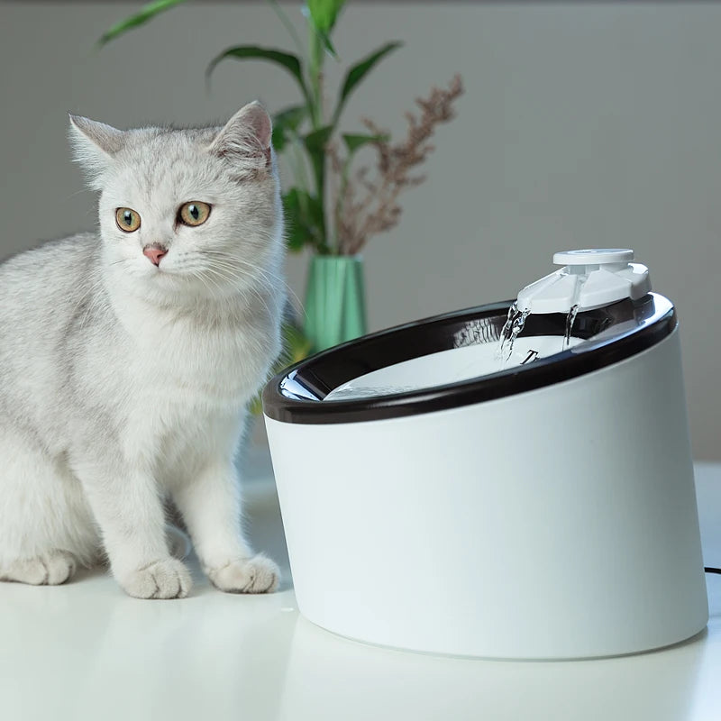 Truelove Automatic Pet Water Fountain NZ | USB Electric Mute Water Drinker for Cats & Dogs – PawNest