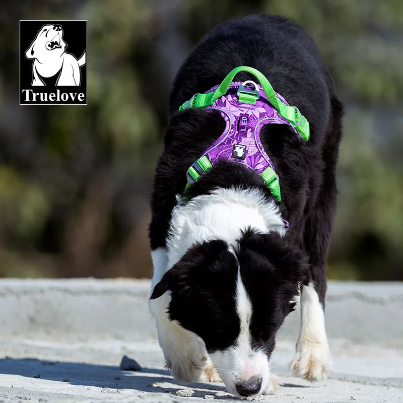 Truelove No-Pull Dog Harness NZ | Front Nylon Adjustable Safety Vest for Small & Large Dogs – PawNest