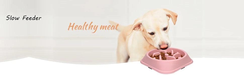 Non-Slip Slow Feeder Dog Bowl NZ | Puzzle Anti-Gulping Food Dish for Medium Dogs – PawNestedium Small Dogs Puppy