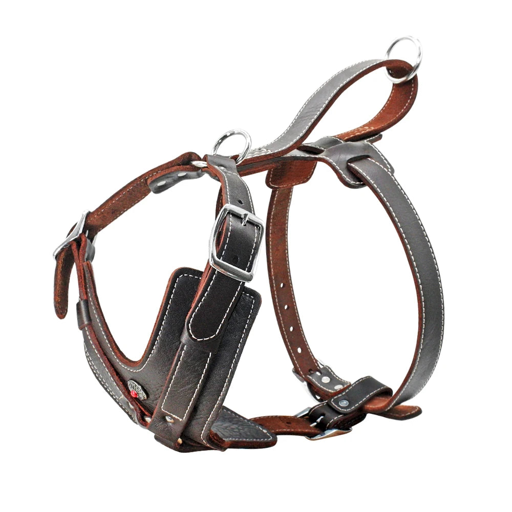 Durable Leather Dog Harness NZ | Large Dog Training Vest with Quick Control Handle for Labradors & Pitbulls – PawNest