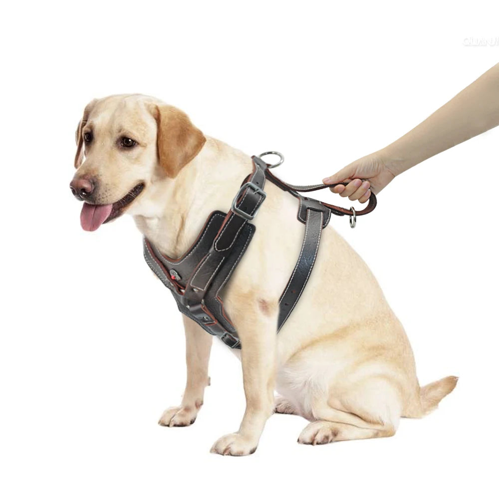 Durable Leather Dog Harness NZ | Large Dog Training Vest with Quick Control Handle for Labradors & Pitbulls – PawNest