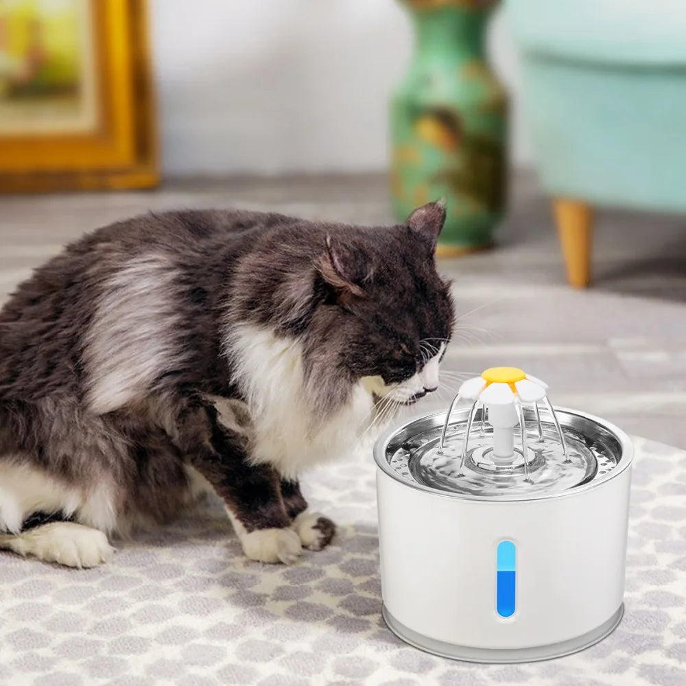 LED Cat Water Fountain NZ – Quiet 2.4L Drinking Bowl for Cats & Dogs