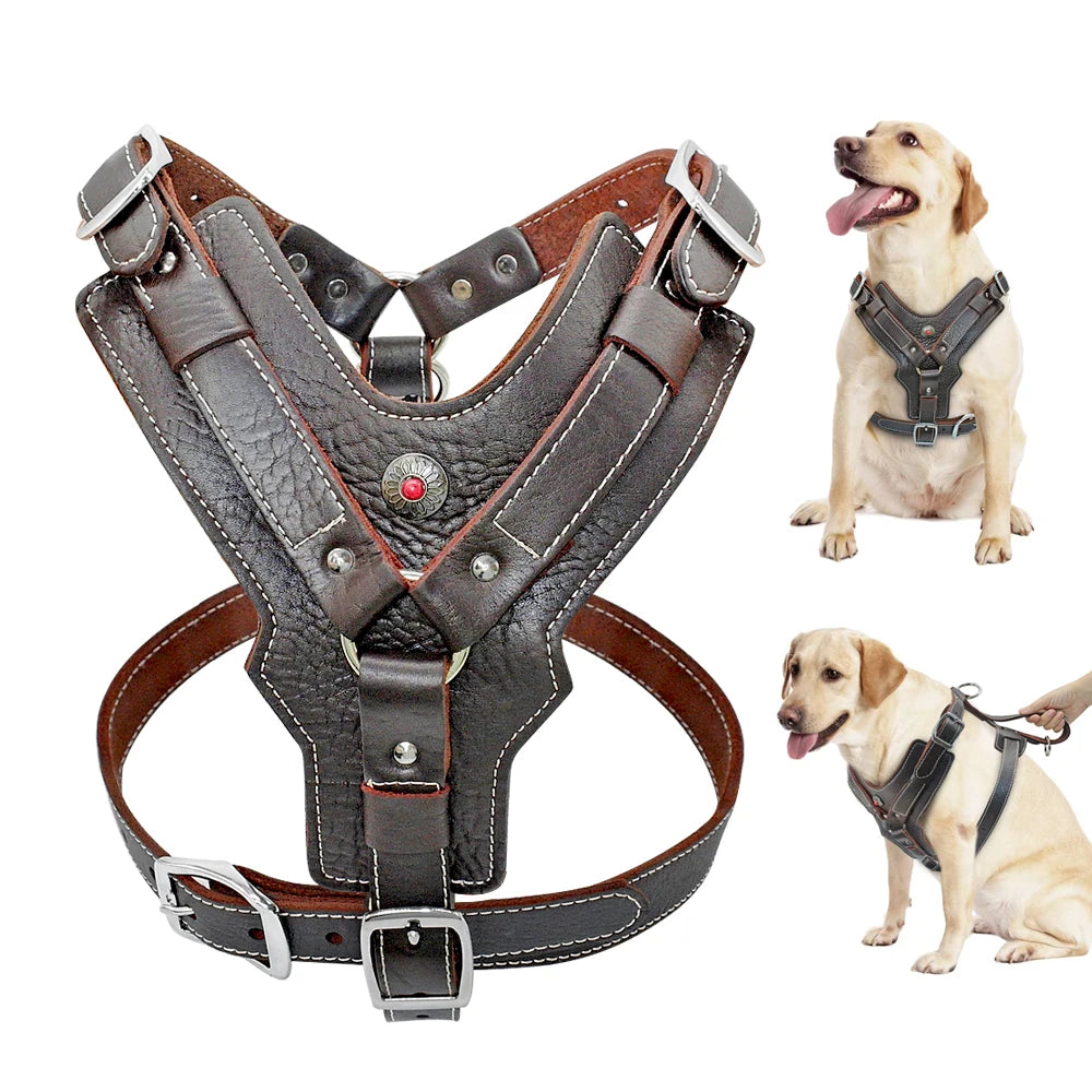 Durable Leather Dog Harness NZ | Large Dog Training Vest with Quick Control Handle for Labradors & Pitbulls – PawNest