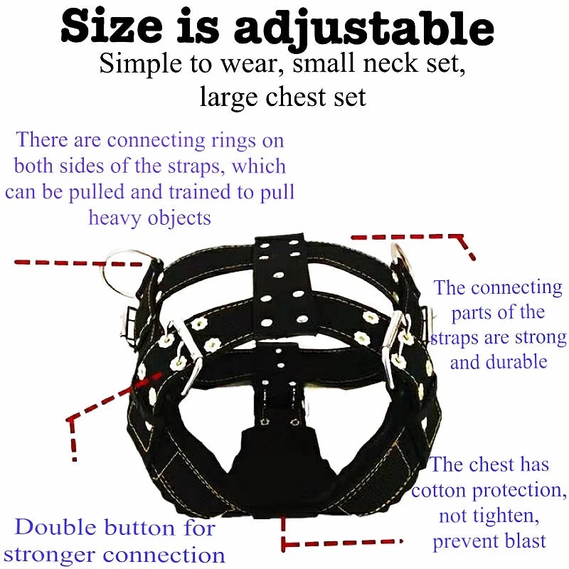 Large Dog Harness NZ | Durable Pit Bull Harness & Leash Set – Wholesale Pet Accessories – PawNest