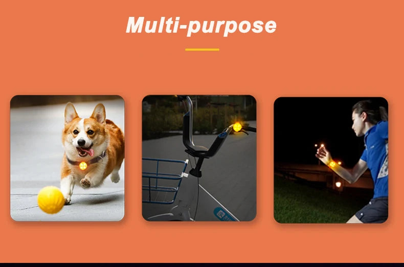 Dog Anti-Loss LED Collar – Waterproof, USB Rechargeable Light