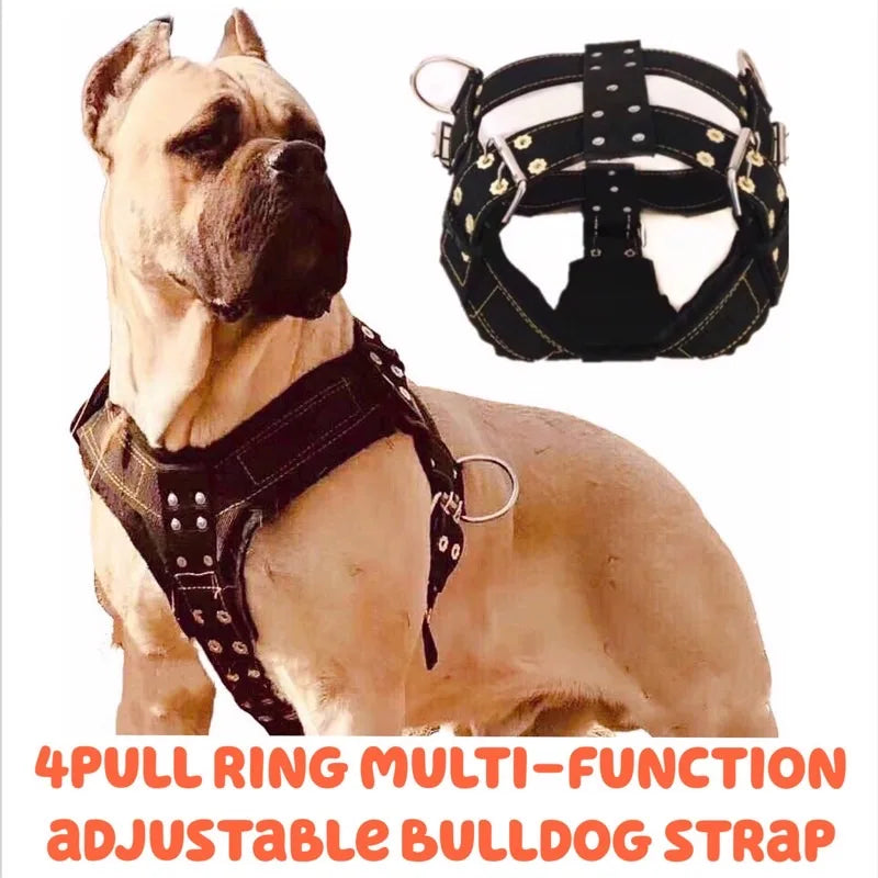 Large Dog Harness NZ | Durable Pit Bull Harness & Leash Set – Wholesale Pet Accessories – PawNest