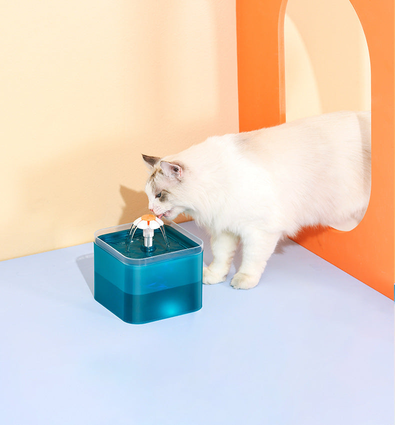 2L Automatic Cat Water Fountain NZ | LED Light & Filtered Pet Water Dispenser – PawNest