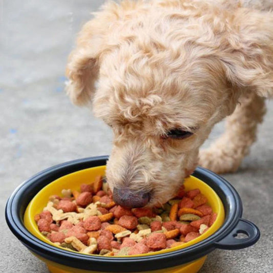 350ml Folding Silicone Dog Bowl – Portable Travel Feeder Dish
