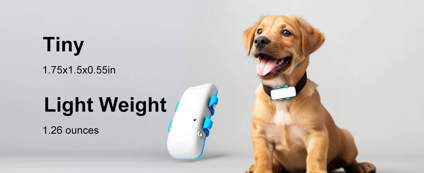 Global Pet Tracker NZ | Waterproof GPS Dog & Cat Tracker with App – Low Service Fee – PawNest