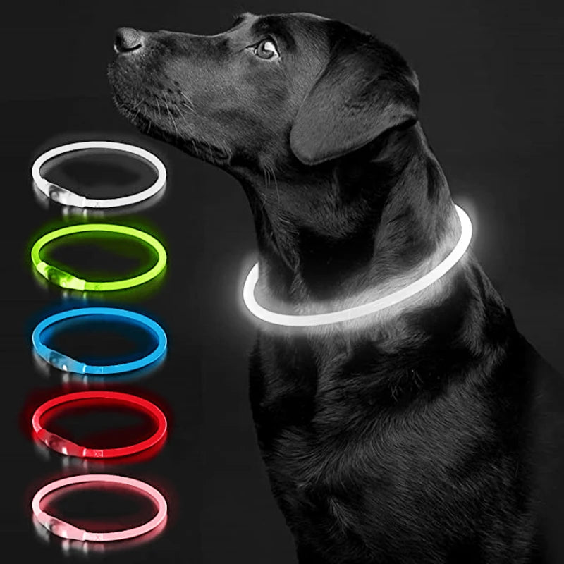 Luminous Dog Collar Light – USB Rechargeable LED Safety Collar
