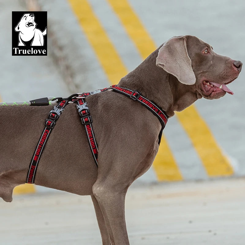Truelove Nylon Reflective Dog Harness TLH6571 NZ | Durable SBR Buckle & Leash Compatible – PawNest