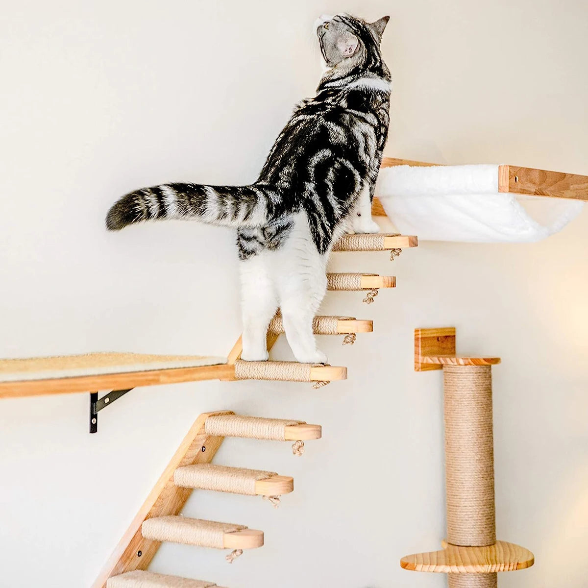 Cat Climbing Shelf Furniture NZ | Wall-Mounted Wooden Cat Shelves & Scratching Perches – PawNest