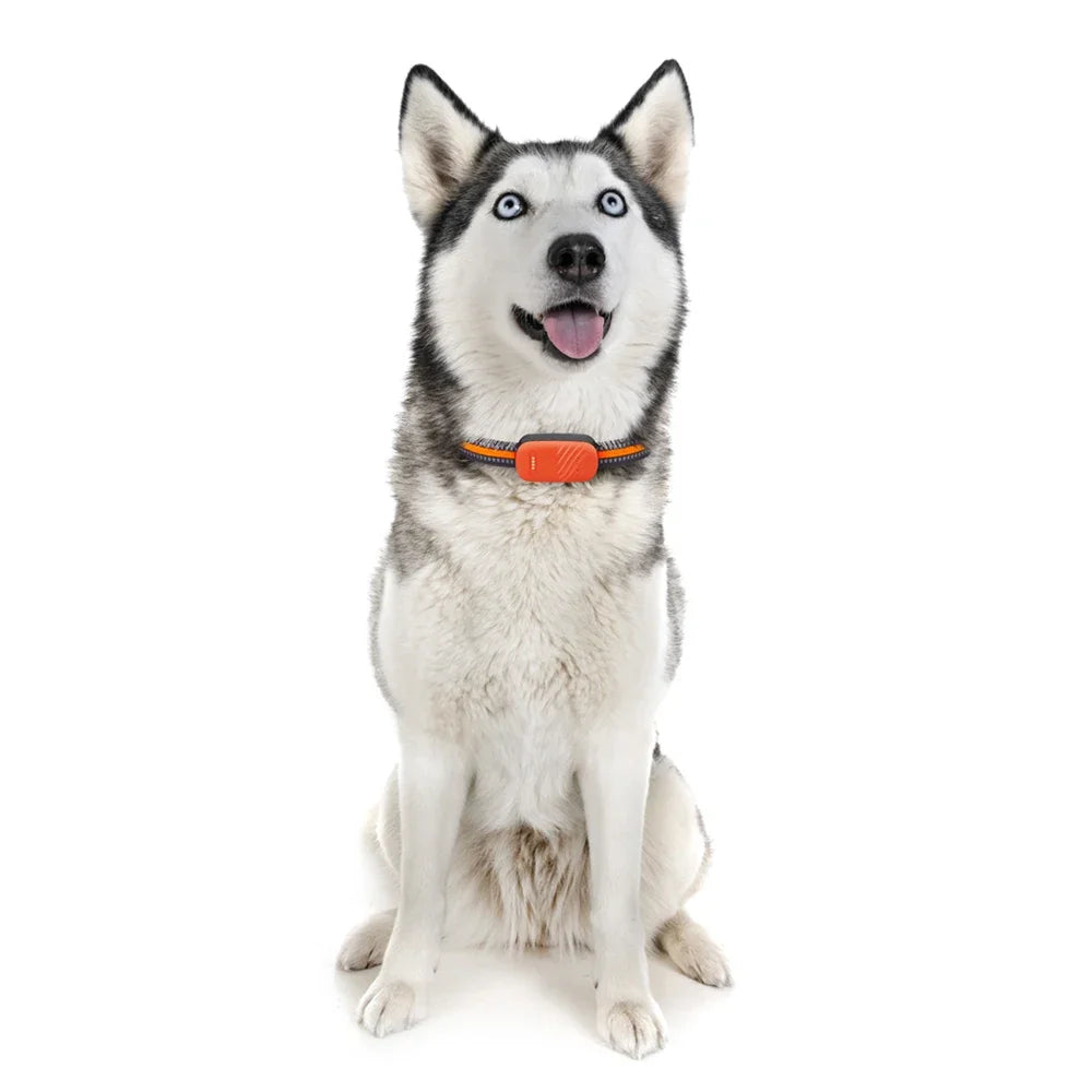 Smart 4G Mini GPS Pet Tracker NZ | Waterproof Real-Time Remote Control Tracker for Cats & Dogs – PawNest