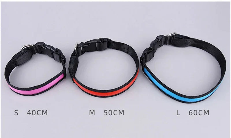 LED Glowing Dog Collar – USB Rechargeable Flashing Light
