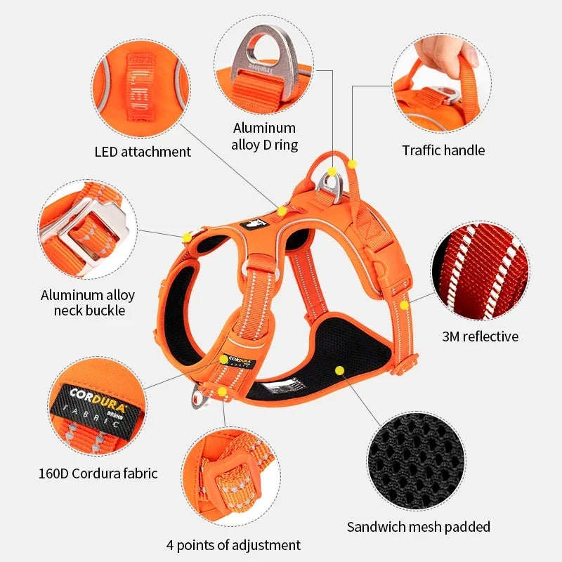 TrueLove No-Pull Reflective Dog Harness NZ | Adjustable & Comfortable Fit – PawNest
