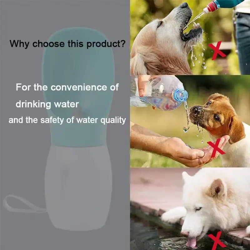 300ml Portable Dog Water Bottle – Leakproof Pet Travel Feeder