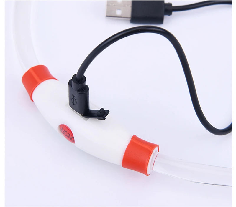 Luminous Dog Collar Light – USB Rechargeable LED Safety Collar