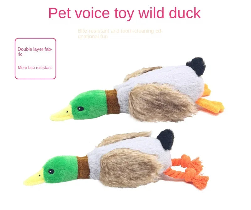 Dog Chew Toy Plush Duck NZ | Squeaky Sound Toy for Teeth Cleaning & Interactive Play – PawNest