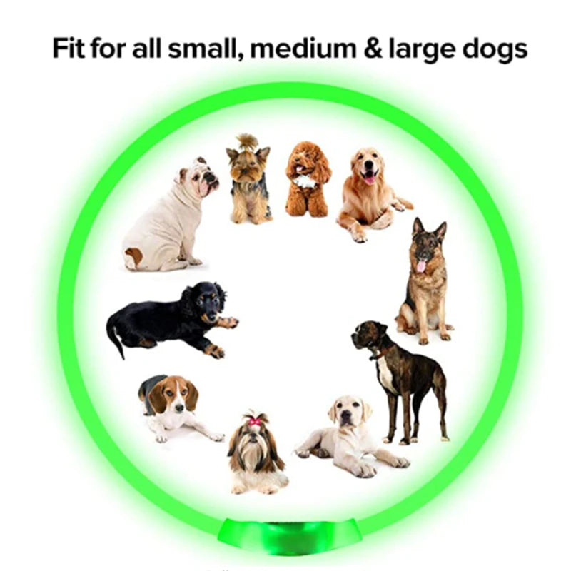 Luminous Dog Collar Light – USB Rechargeable LED Safety Collar