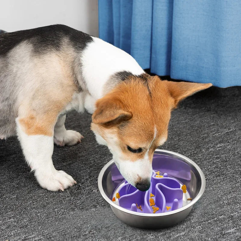 Silicone Spiral Slow Feeder Insert NZ | Strong Suction Cup for Small to Large Dogs – PawNest