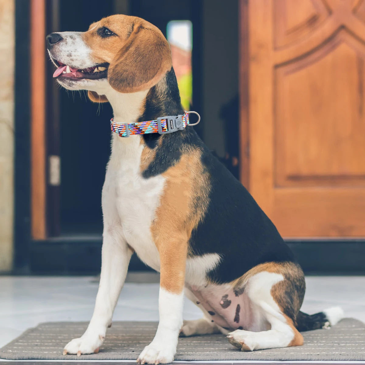 Reflective Adjustable Dog Collar – Anti-Lost Military Design