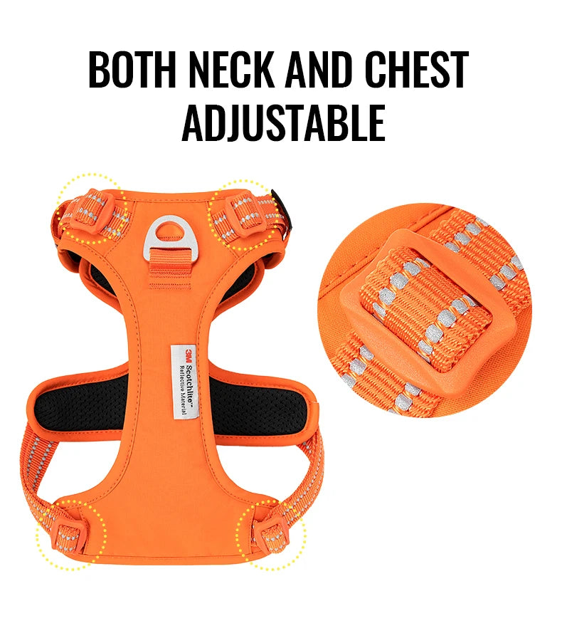 TrueLove No-Pull Reflective Dog Harness NZ | Adjustable & Comfortable Fit – PawNest