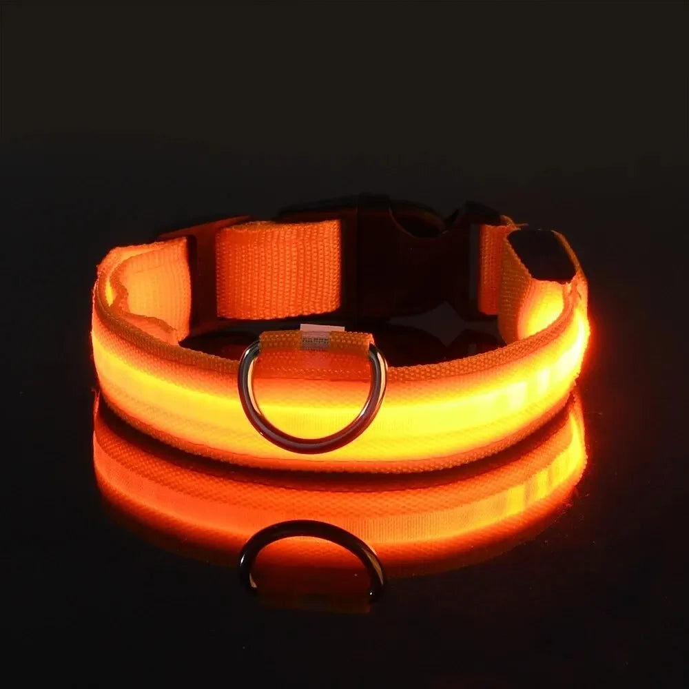 Light Up LED Dog Collar – Safety Flashing Glow Battery Collar