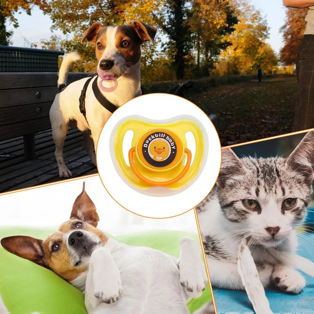 Dog Pacifier Chew Toy NZ | Silicone Calming & Bite Training Toy for Small & Medium Dogs – PawNest