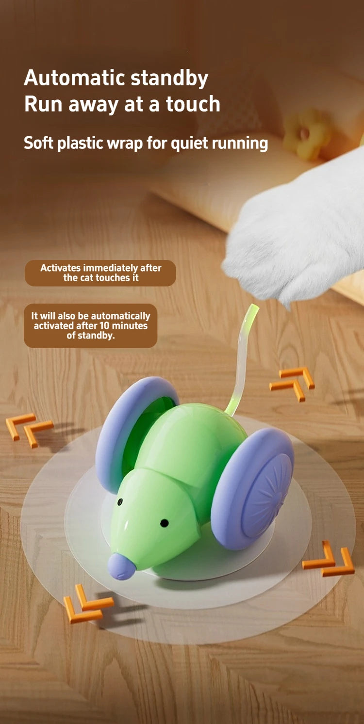 Interactive Cat Toy NZ | Electric Mouse Teaser with Obstacle Avoidance – PawNest