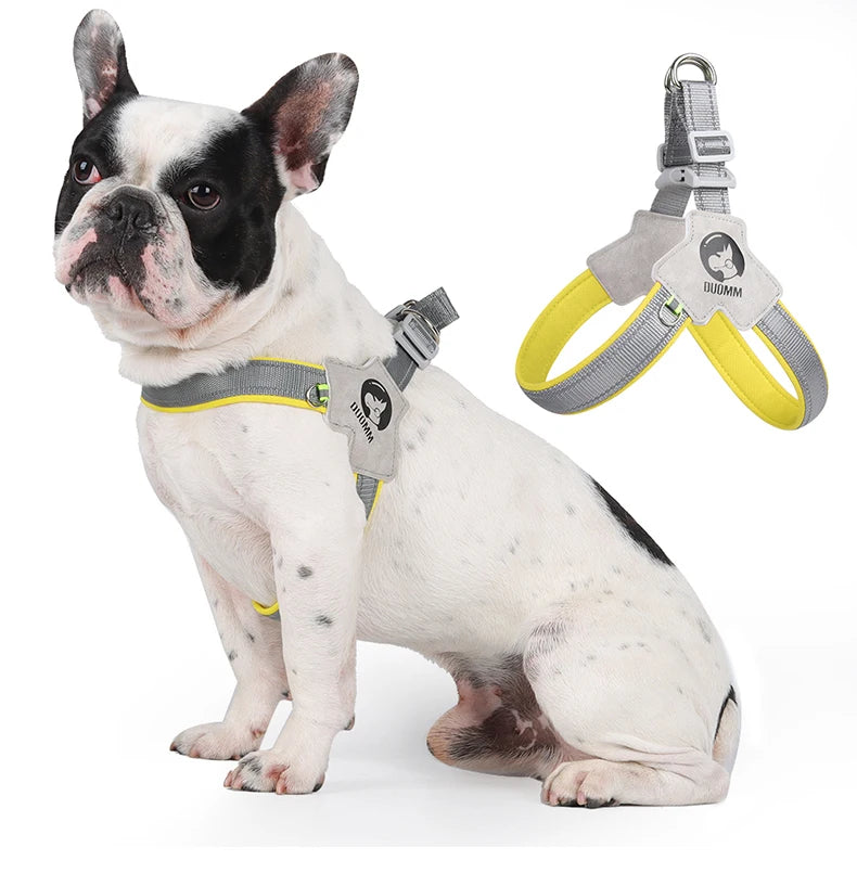 Adjustable Reflective Dog Harness NZ | Mesh Vest for Small & Large Dogs & Cats – PawNest