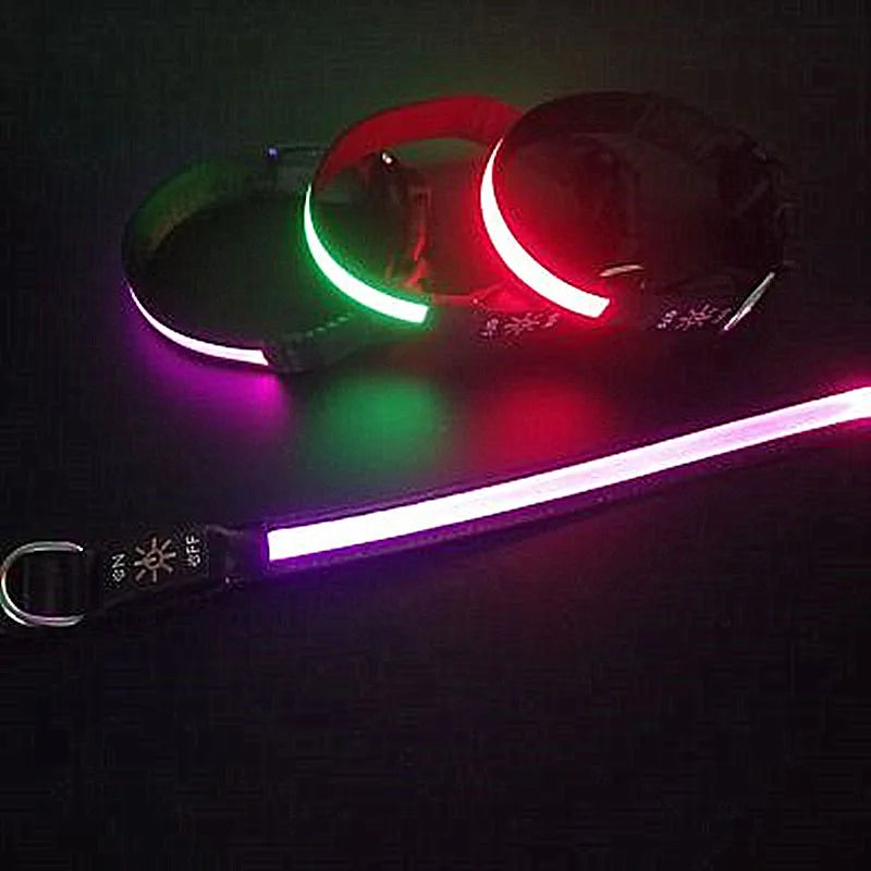 LED Glowing Dog Collar – USB Rechargeable Flashing Light