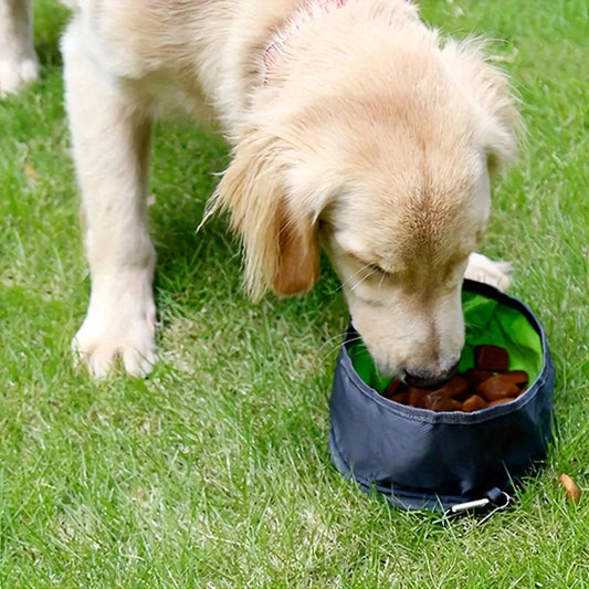Portable Collapsible Pet Water & Food Feeder Bowl – Outdoor Use